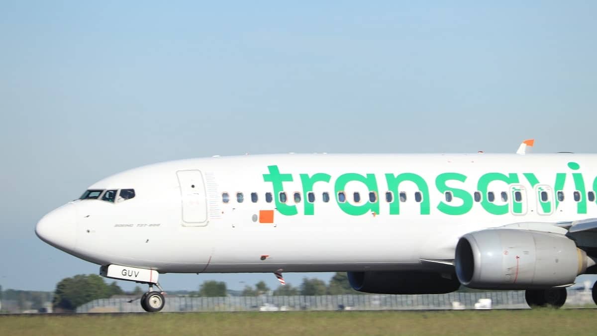 Prix élevés des billets davion vers Algérie Transavia France